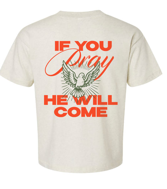 "If You Pray" T-shirt