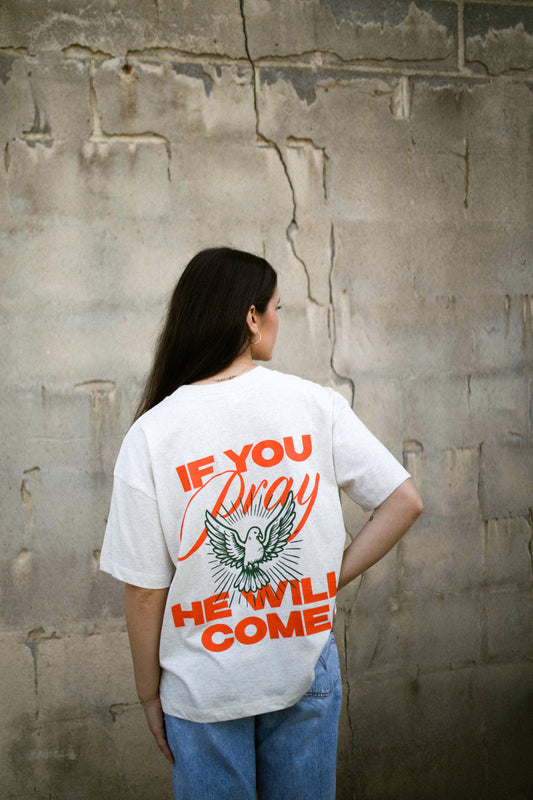 "If You Pray" T-shirt