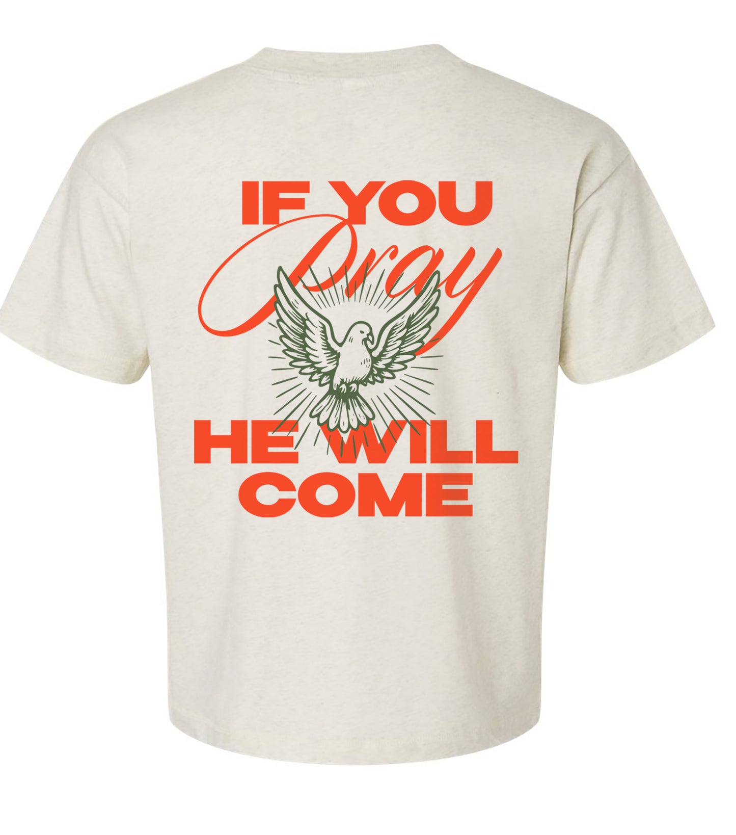 "If You Pray" T-shirt