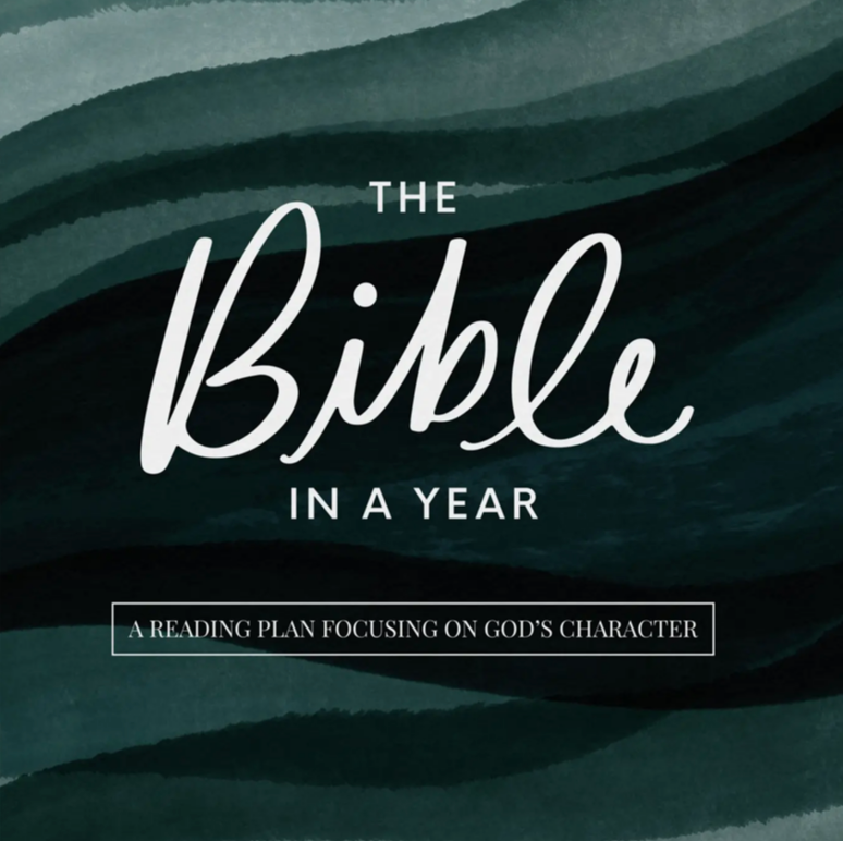 The Bible in a Year Teal